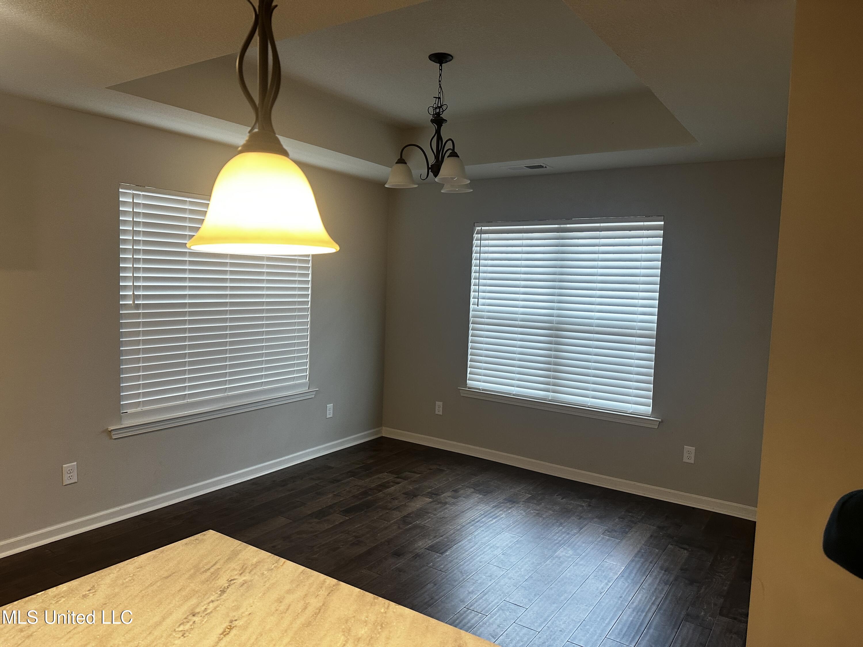 3112 Magnolia Bloom Drive Property Photo 9