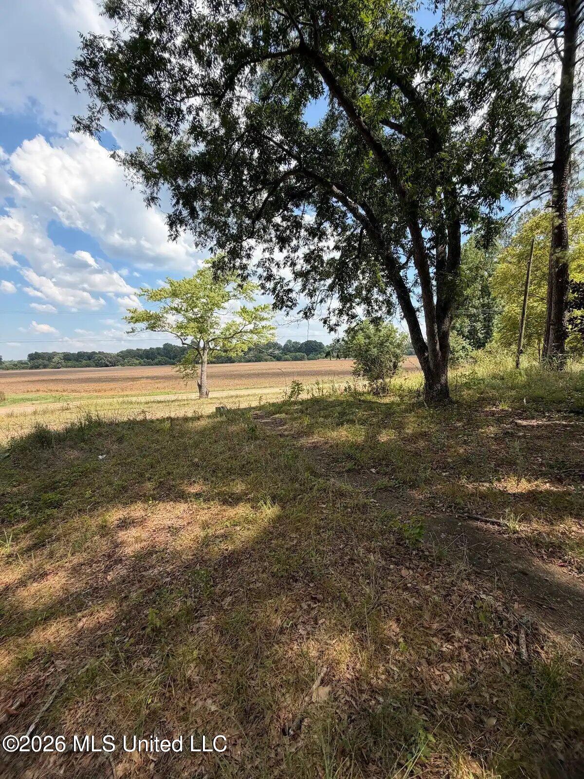 1418 Highway 3 Property Photo 16