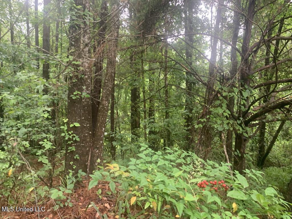 1063 Dry Creek Road Property Photo 12
