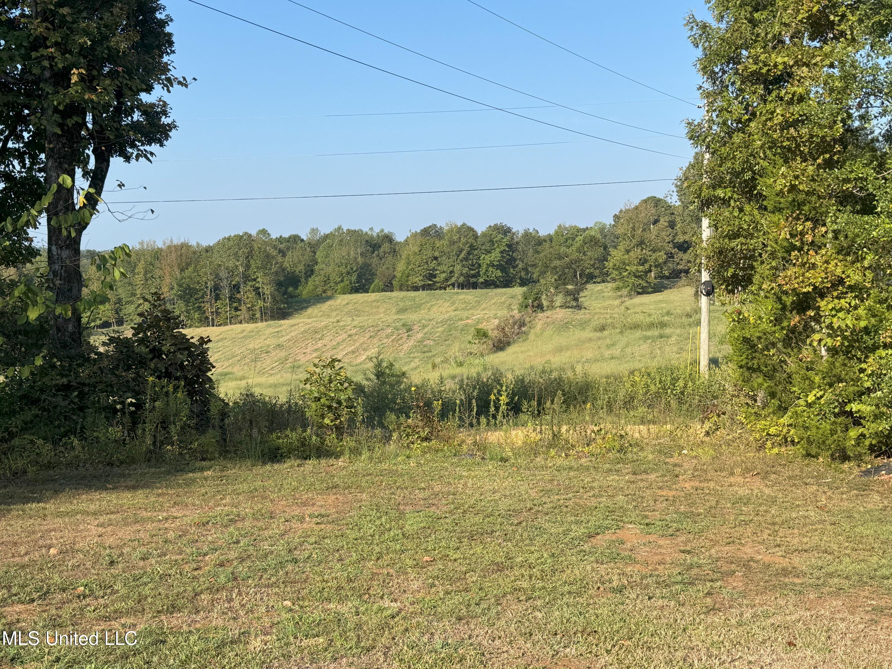 1113 New Salem Road Property Photo 33