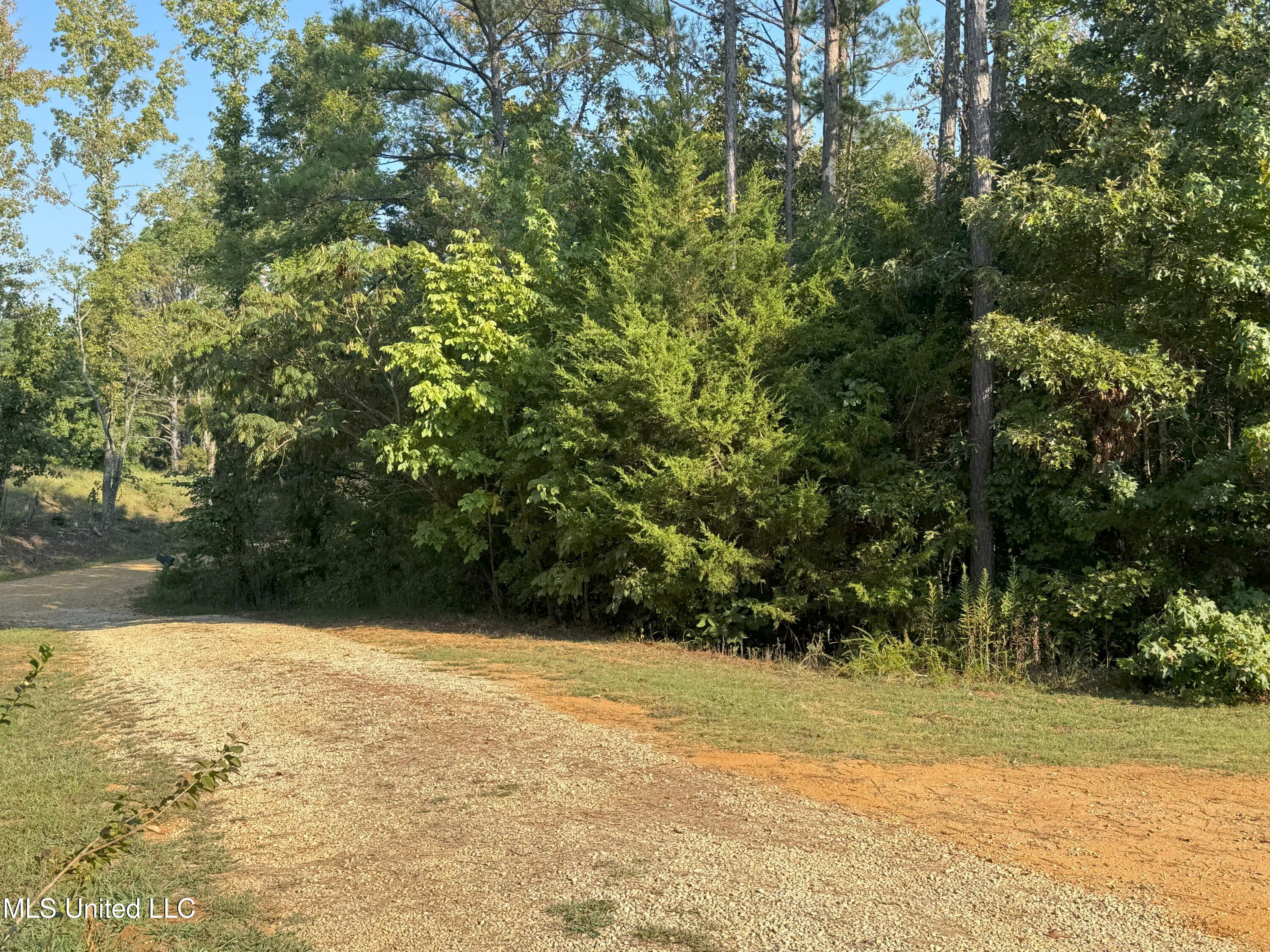 1113 New Salem Road Property Photo 34