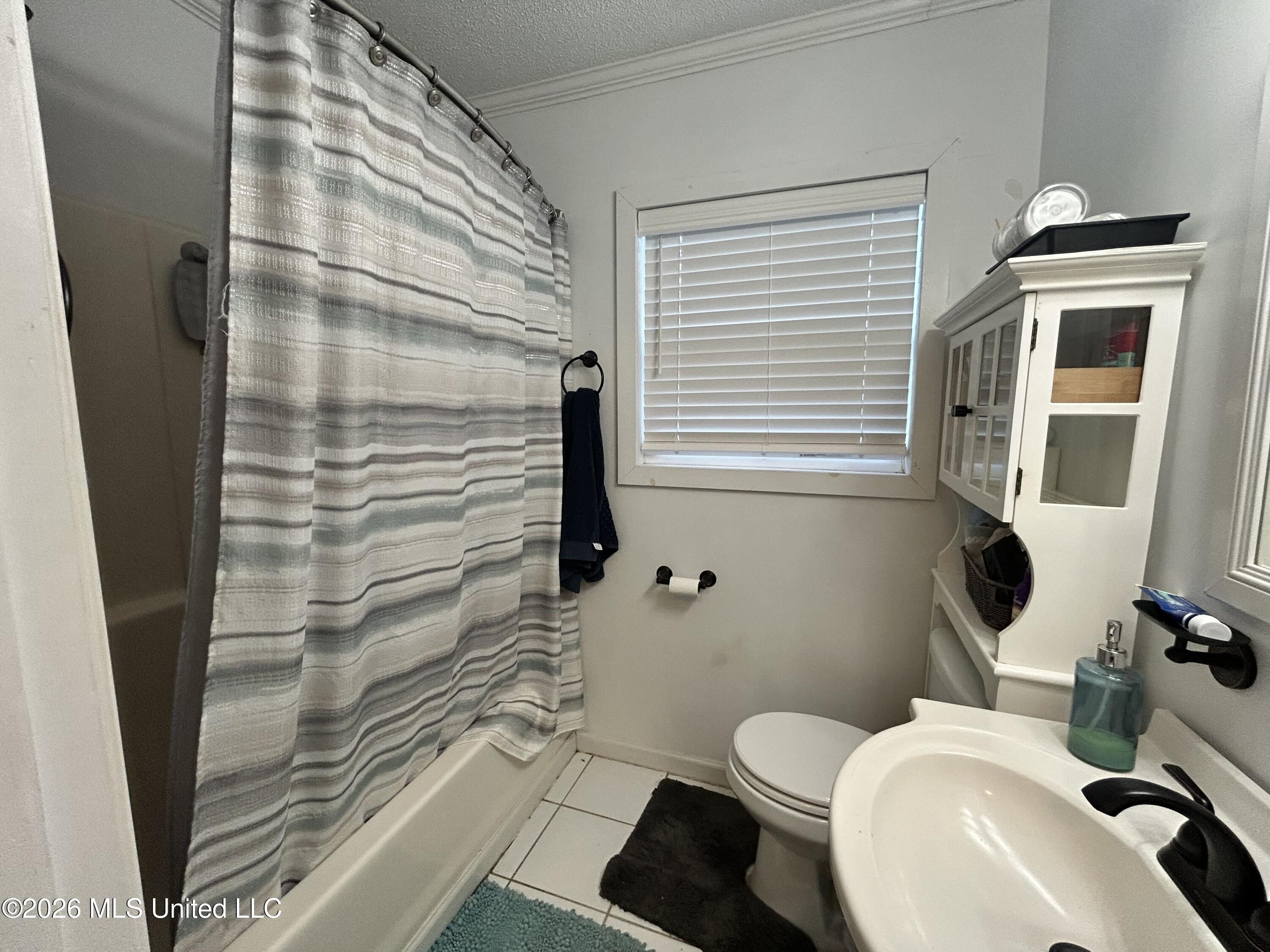 179 Dahlia Street Property Photo 13