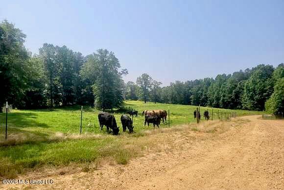 300 Center Crossing Road Property Photo 17