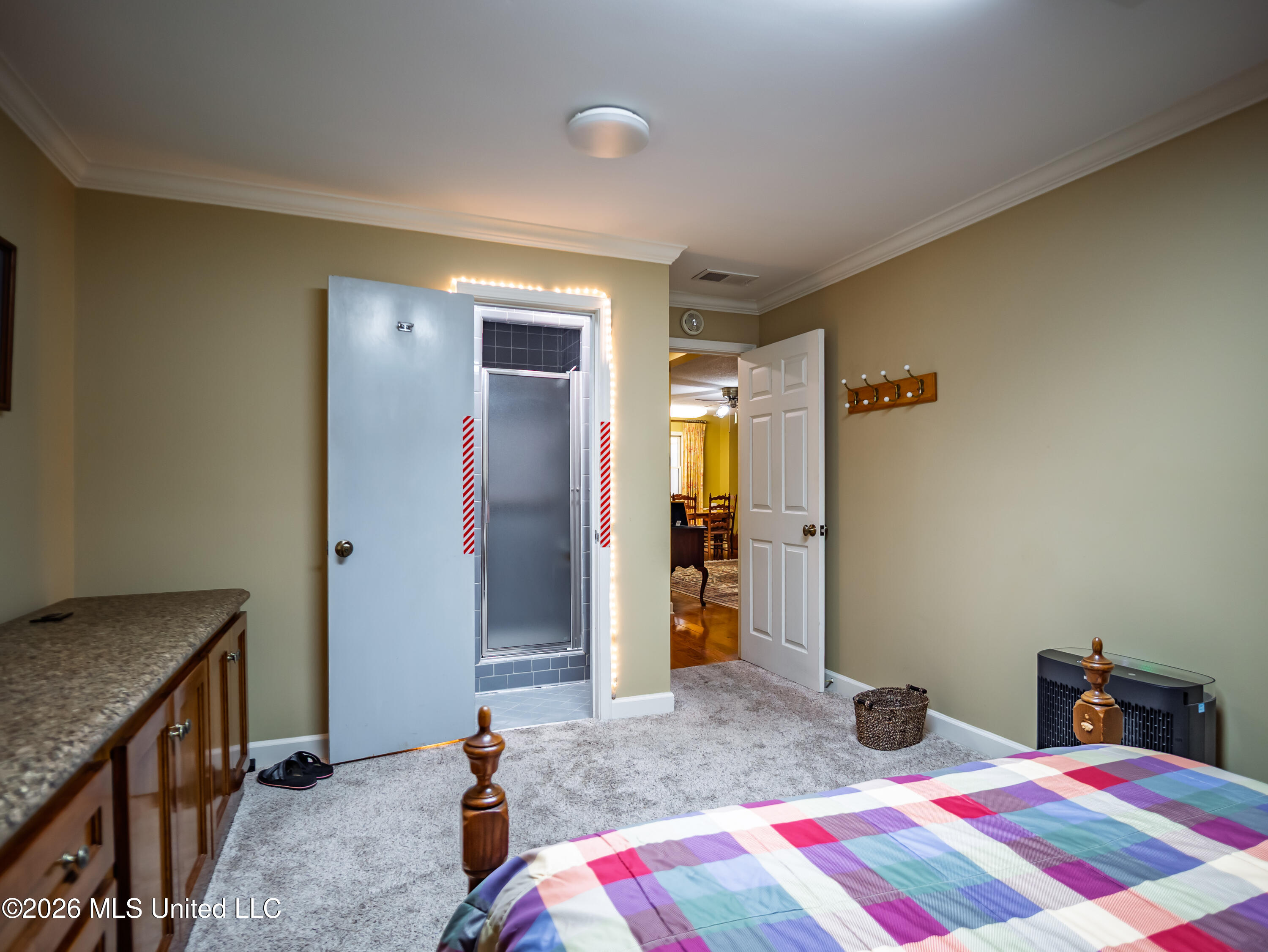 483 Lake Drive Property Photo 25