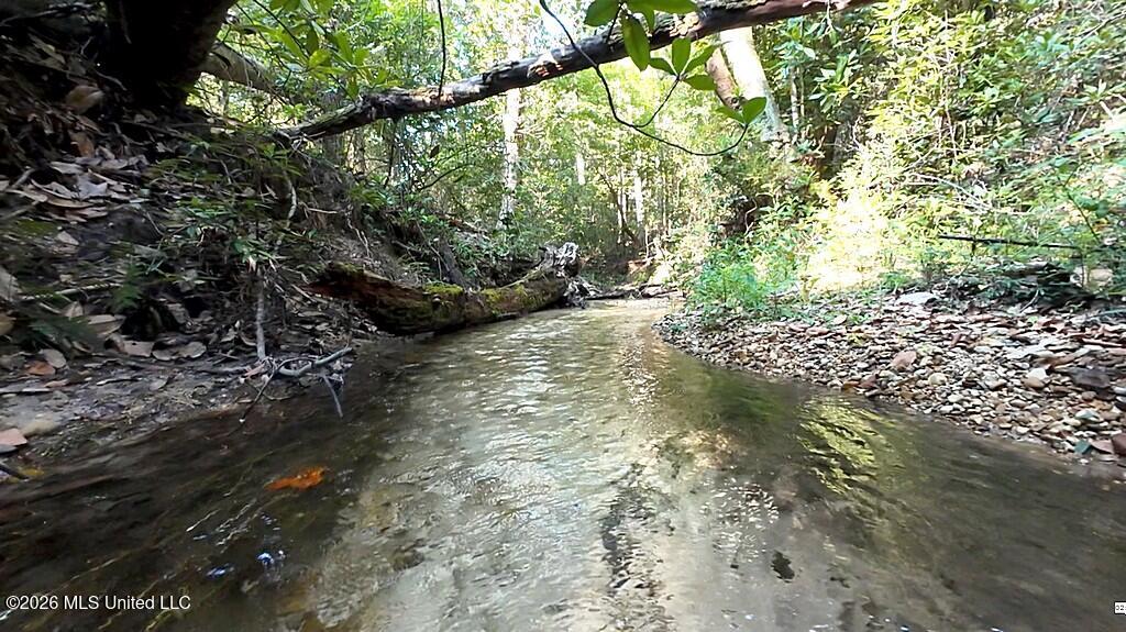 Cephas Smith Lane Property Photo 1