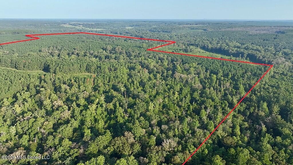 Cephas Smith Lane Property Photo 4