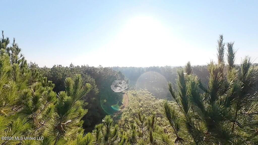 Cephas Smith Lane Property Photo 9
