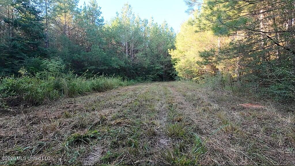 Cephas Smith Lane Property Photo 10