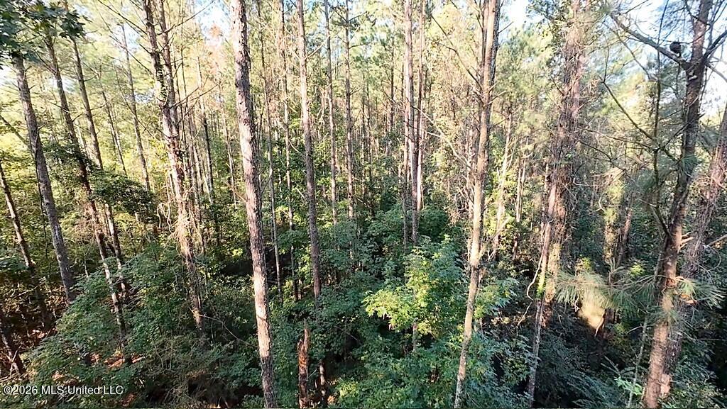 Cephas Smith Lane Property Photo 11
