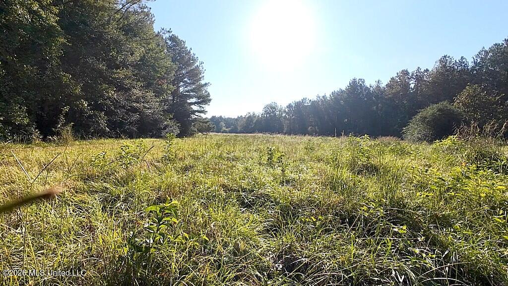 Cephas Smith Lane Property Photo 12