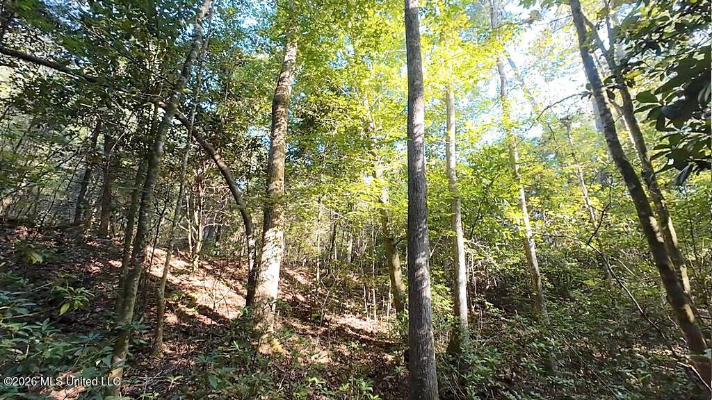 Cephas Smith Lane Property Photo 13