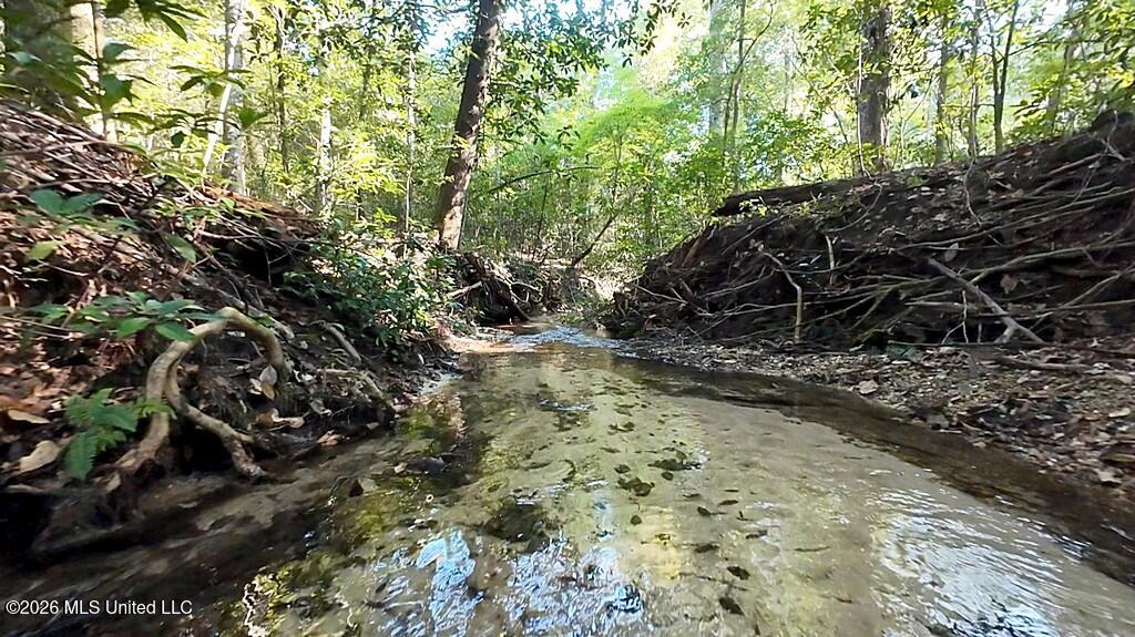 Cephas Smith Lane Property Photo 14