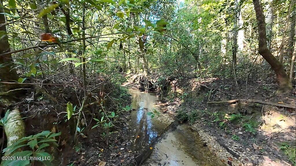 Cephas Smith Lane Property Photo 15