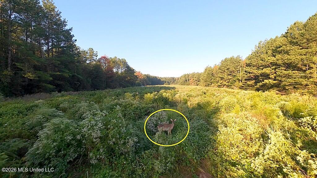 Cephas Smith Lane Property Photo 16