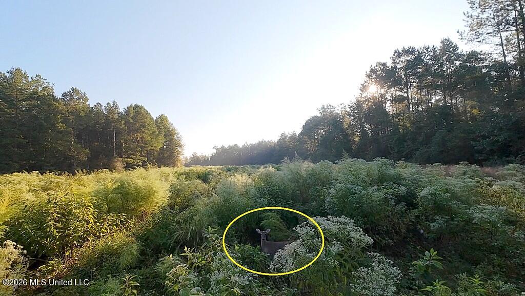 Cephas Smith Lane Property Photo 17