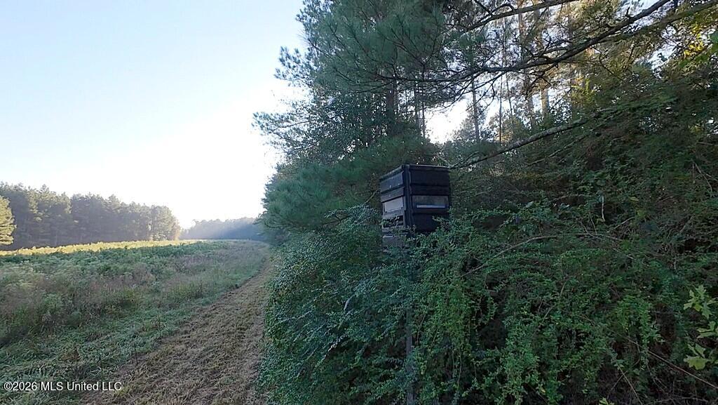 Cephas Smith Lane Property Photo 18