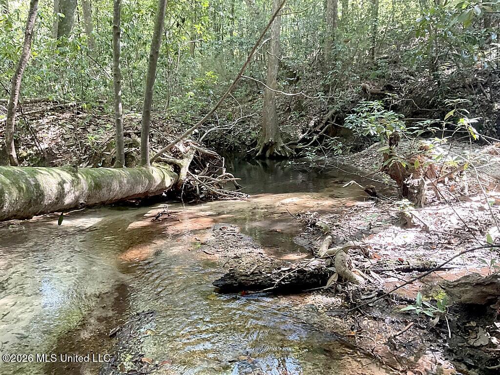 Cephas Smith Lane Property Photo 20
