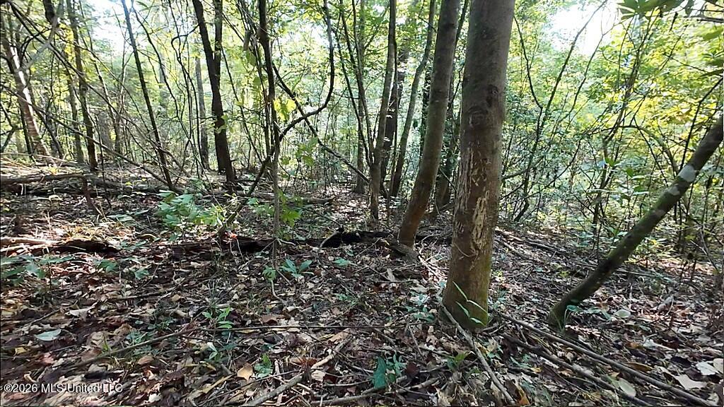 Cephas Smith Lane Property Photo 23