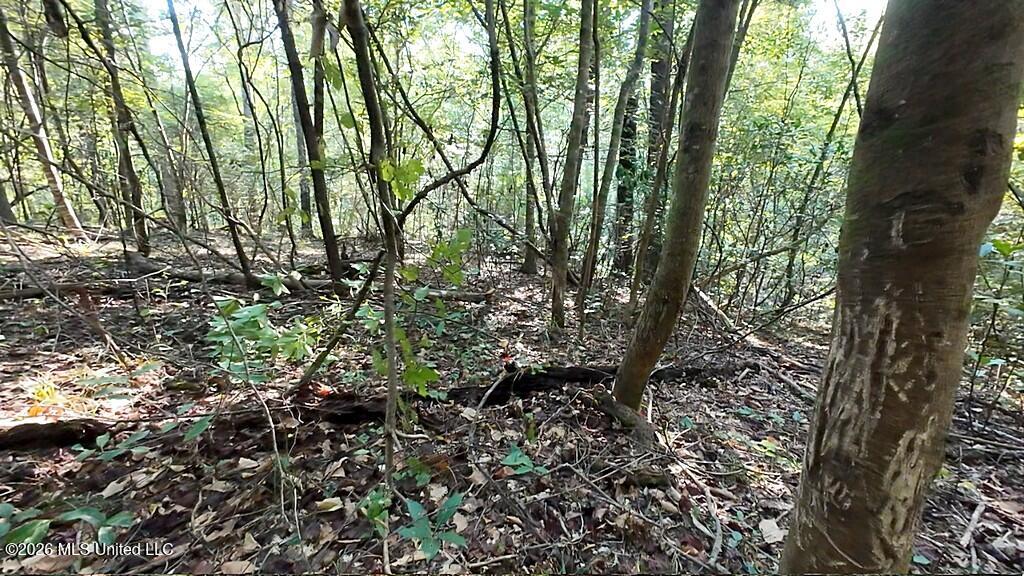 Cephas Smith Lane Property Photo 24
