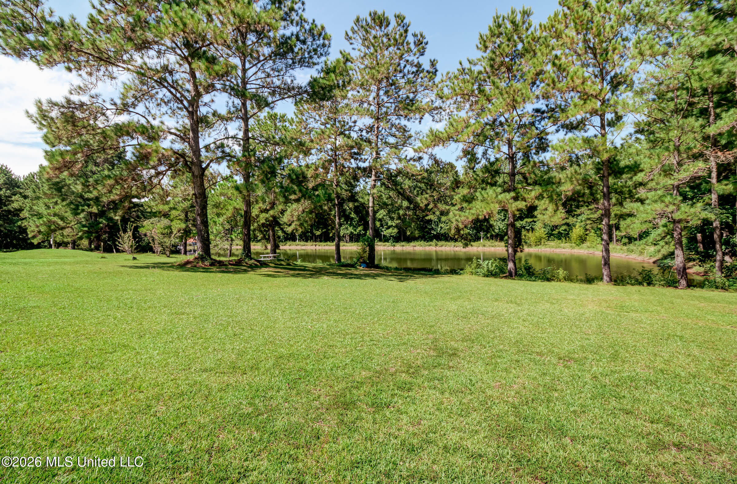 91 W Virgil Lewis Road Property Photo 105