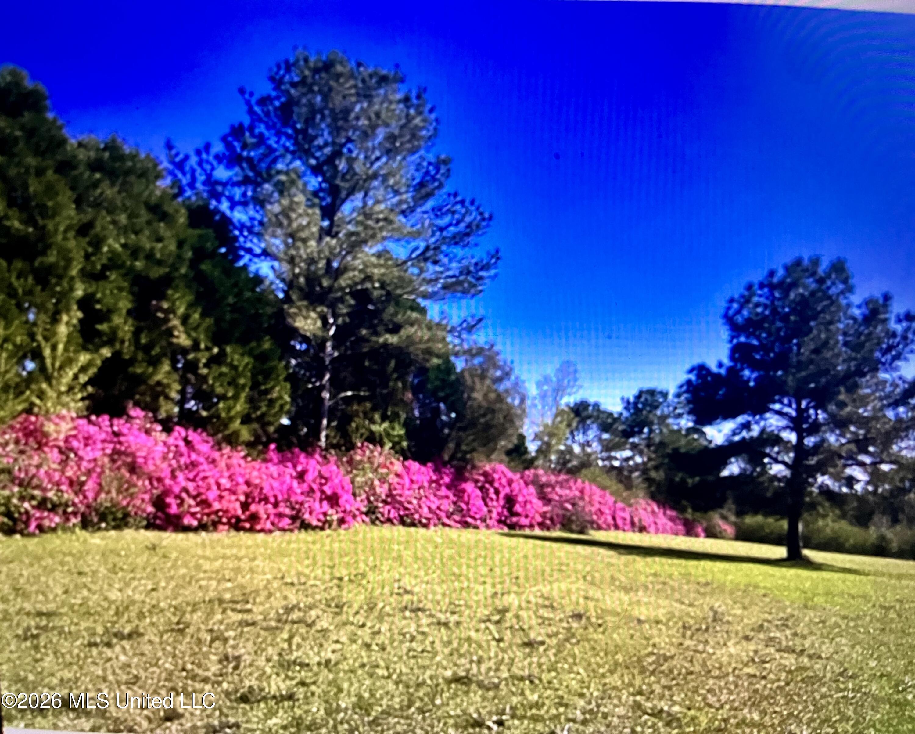 91 W Virgil Lewis Road Property Photo 113