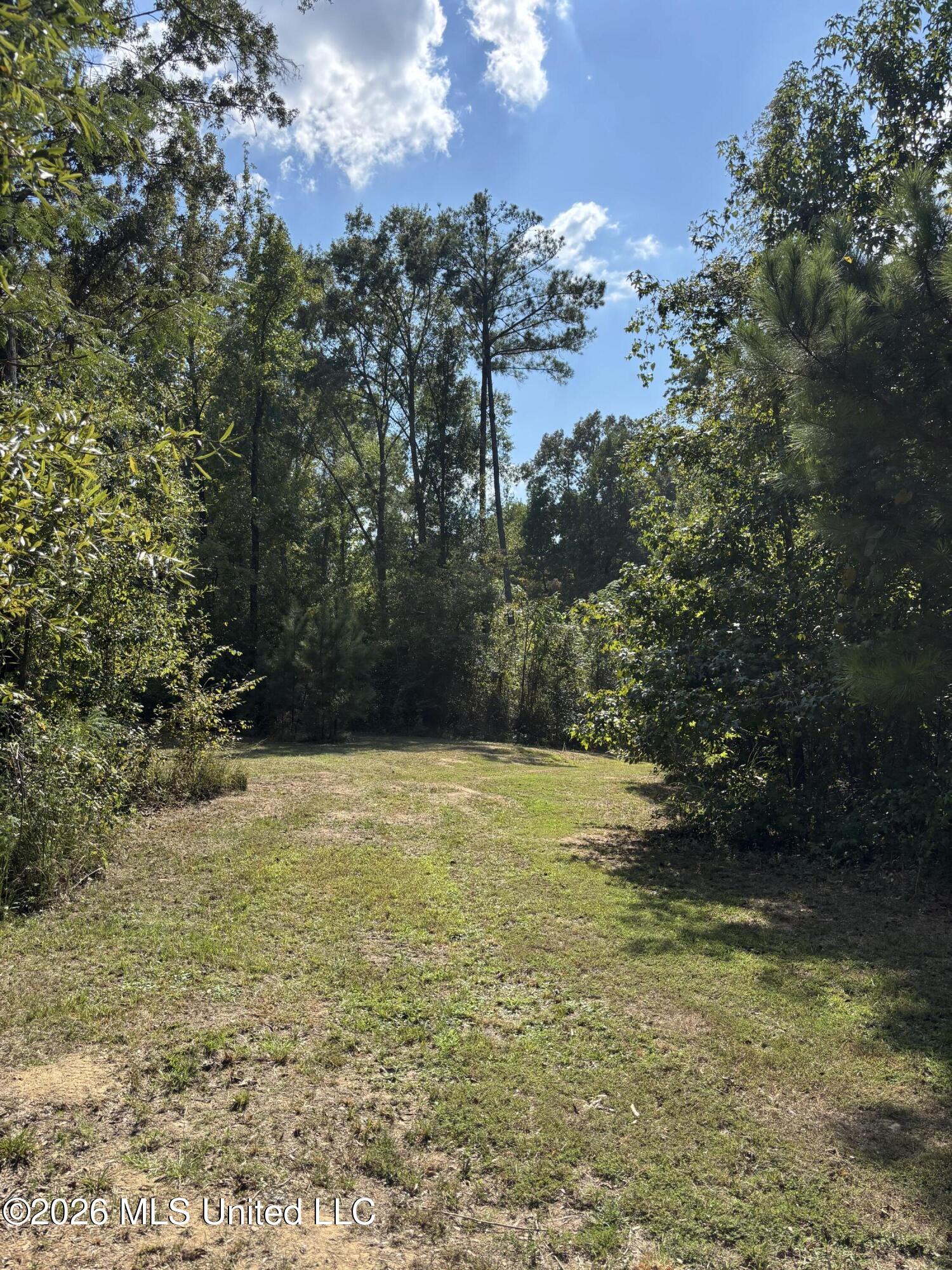 Tinsley Rd Property Photo 3
