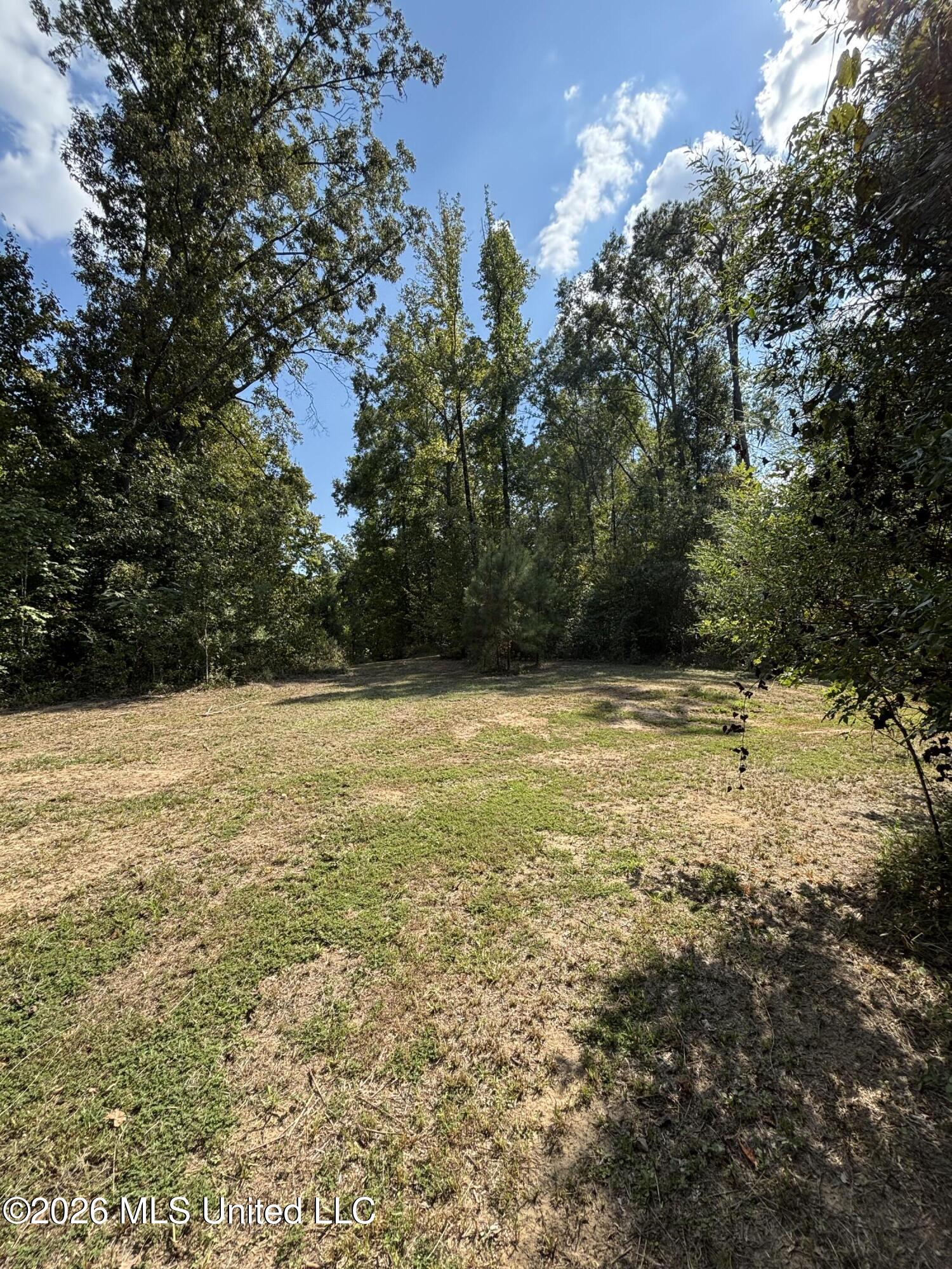 Tinsley Rd Property Photo 4