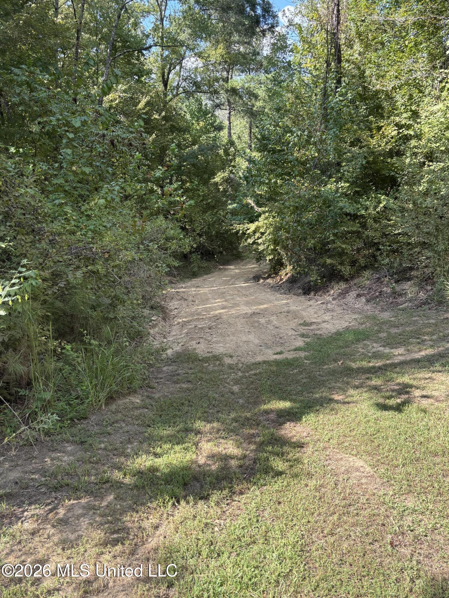 Tinsley Rd Property Photo 9