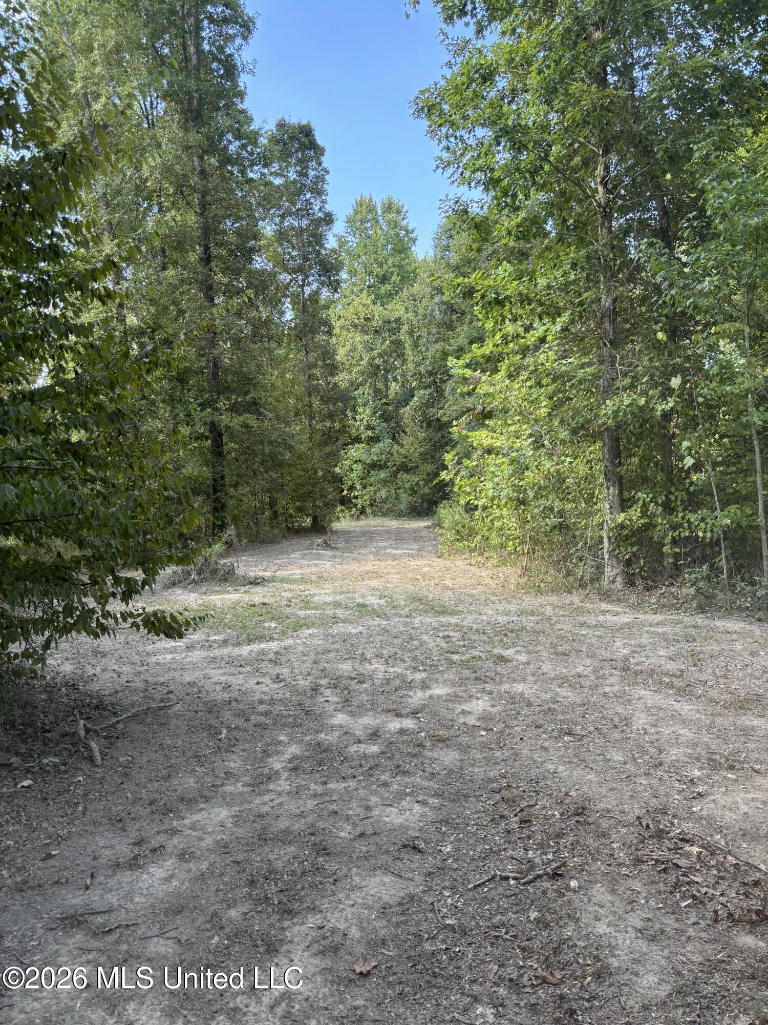 Tinsley Rd Property Photo 10