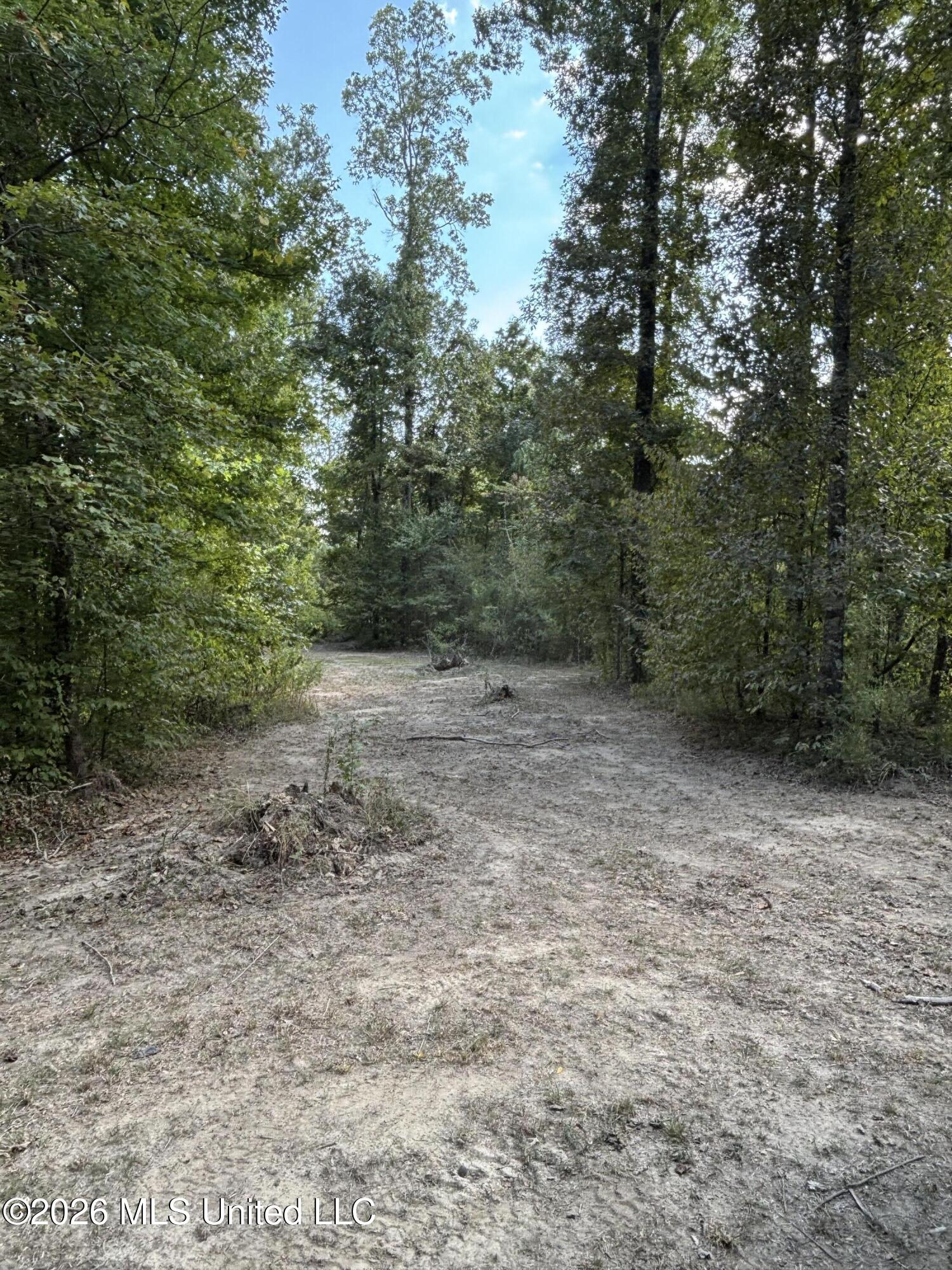 Tinsley Rd Property Photo 12