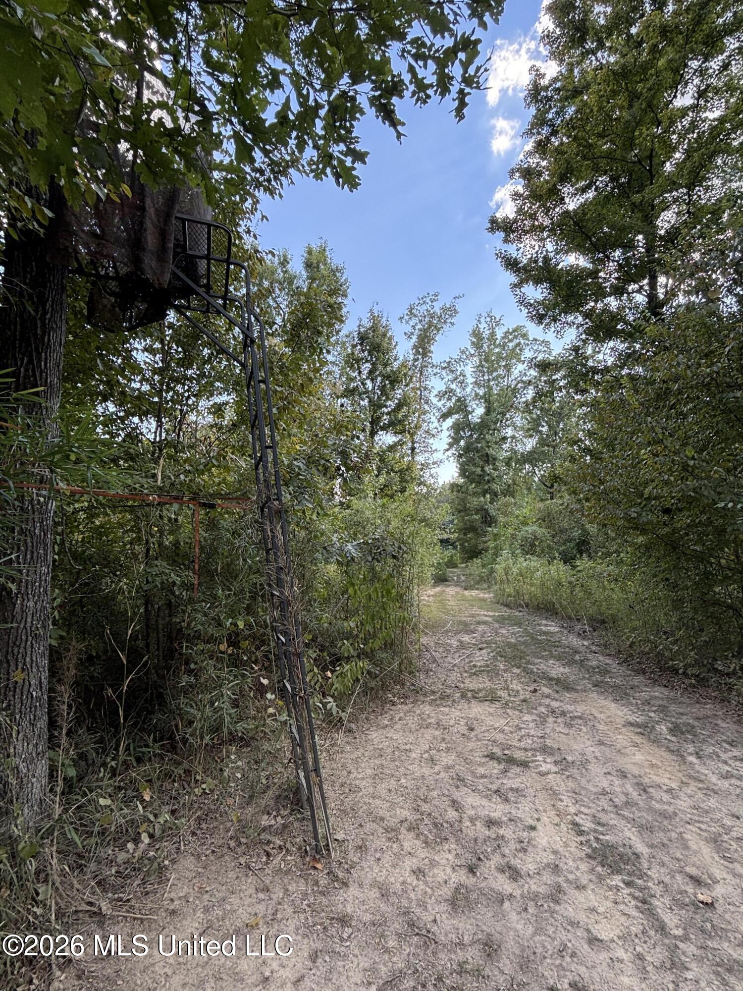 Tinsley Rd Property Photo 14