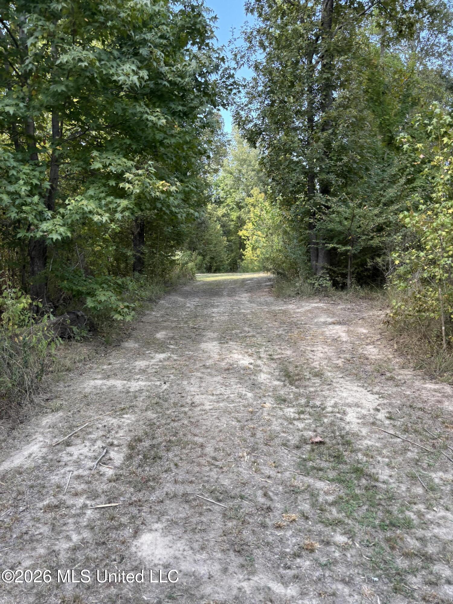 Tinsley Rd Property Photo 15