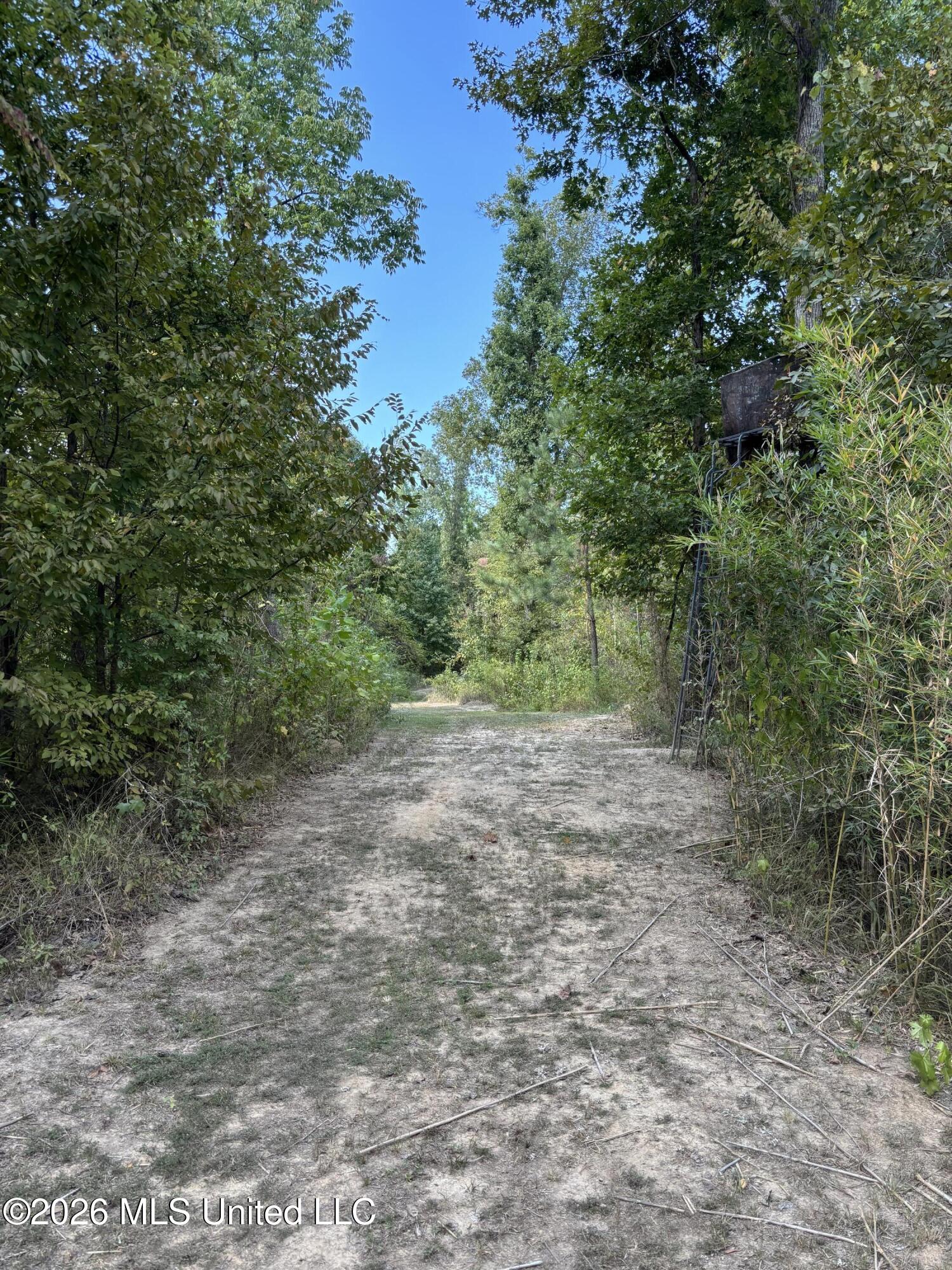 Tinsley Rd Property Photo 16