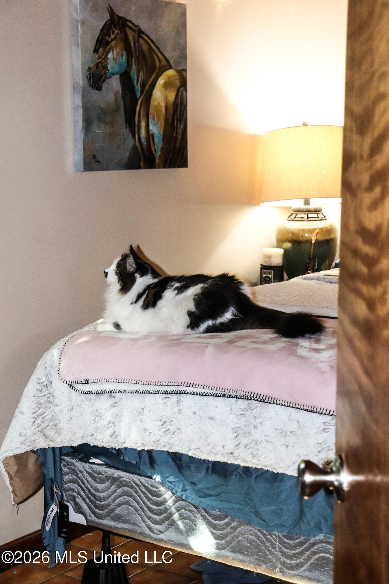 91 Holloway Road Property Photo 17