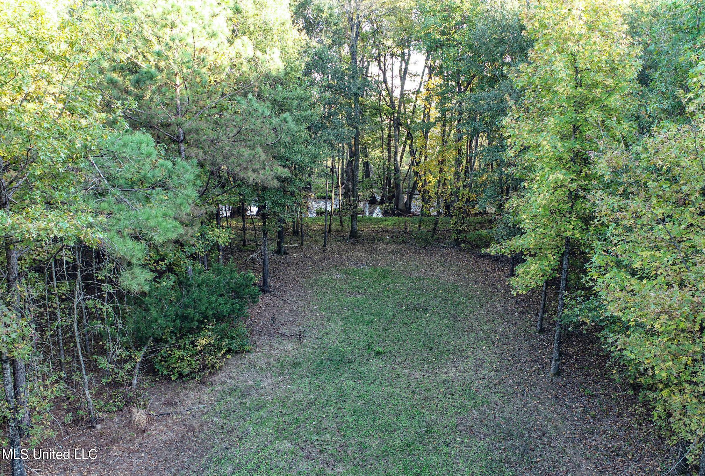 Howard Street Property Photo 31