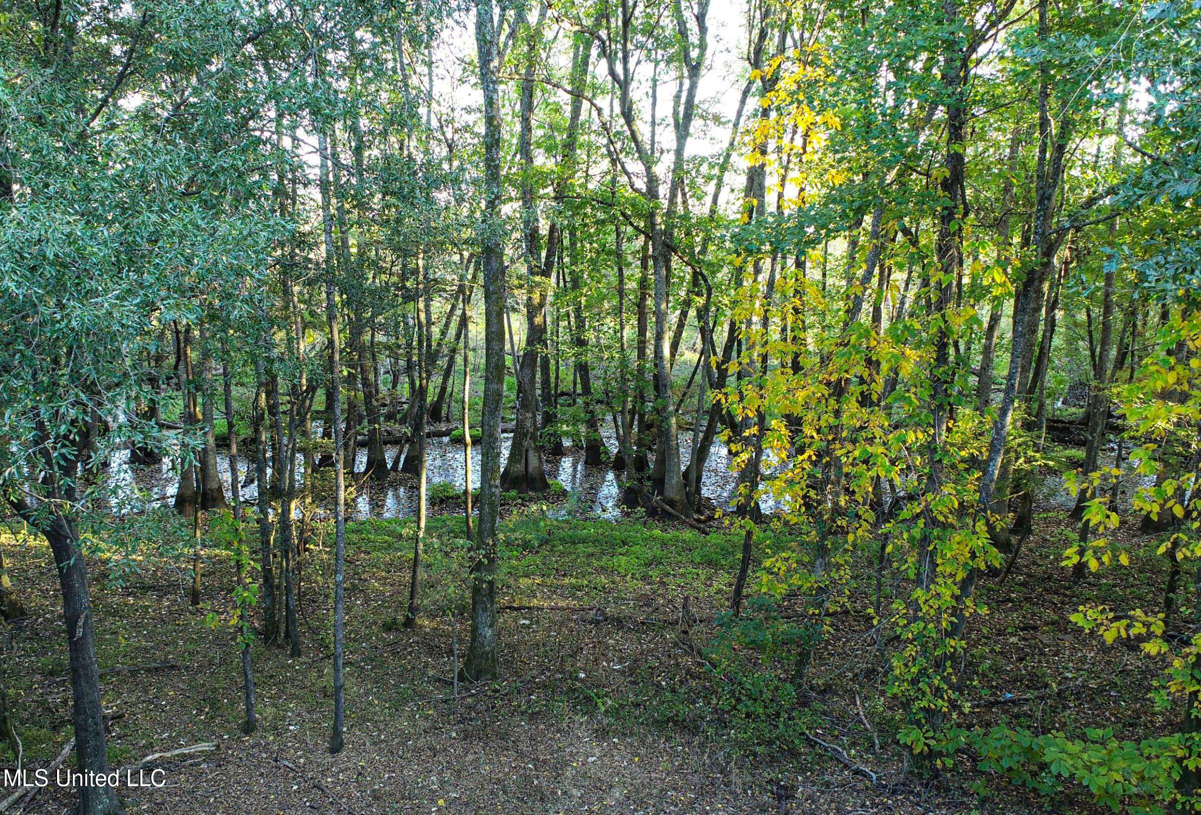 Howard Street Property Photo 32