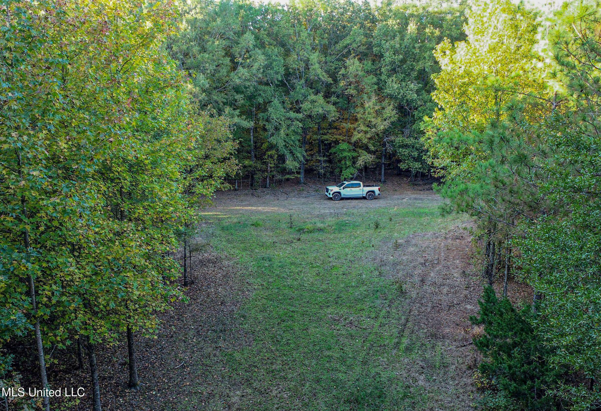 Howard Street Property Photo 34