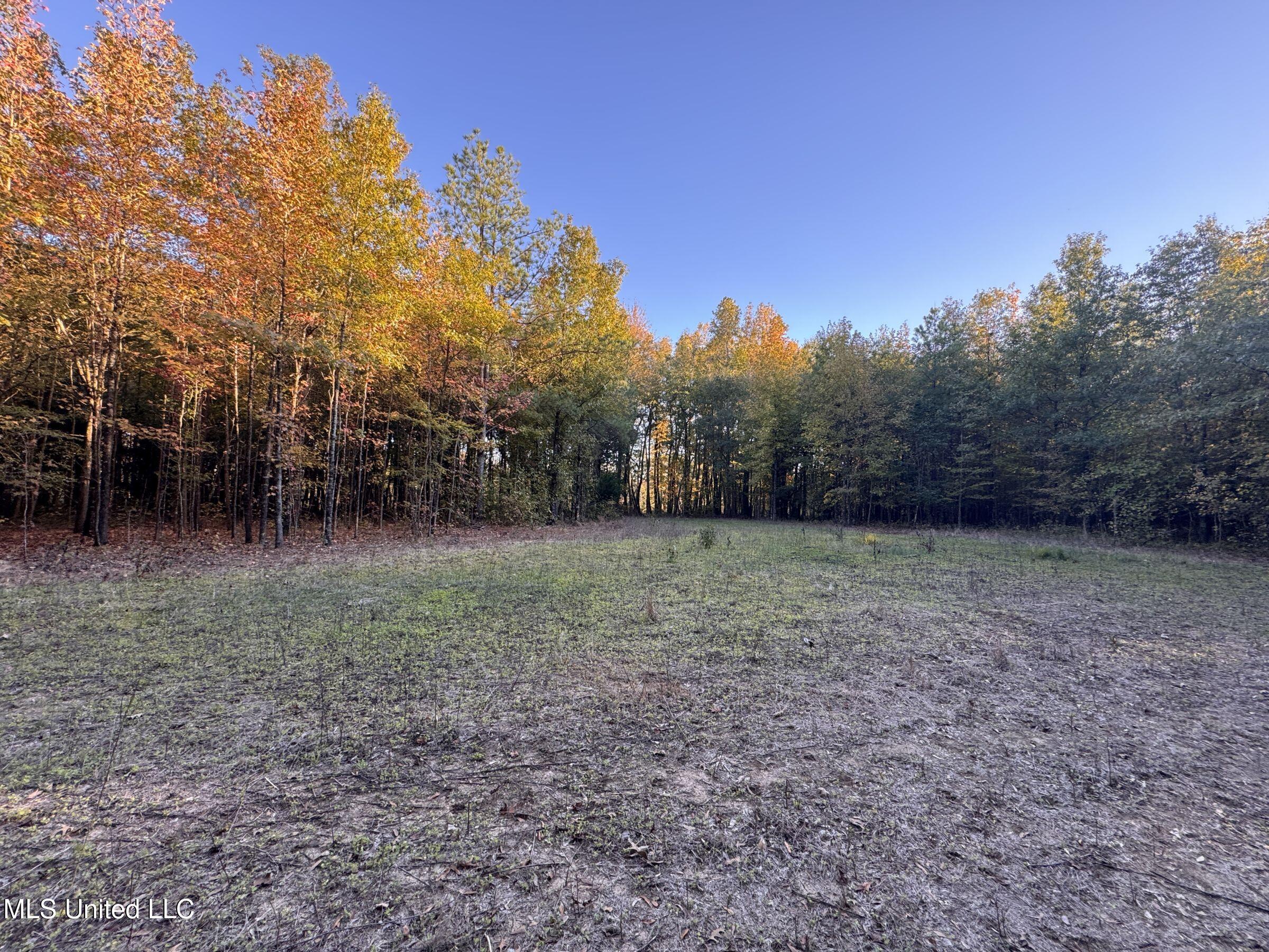 Howard Street Property Photo 47