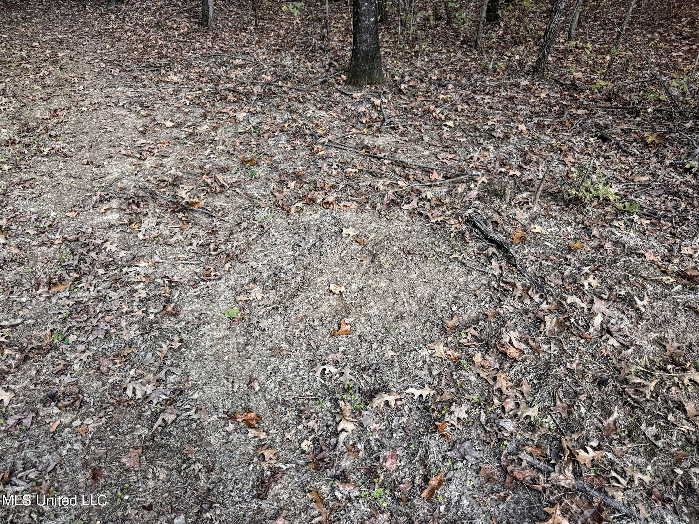 Howard Street Property Photo 67