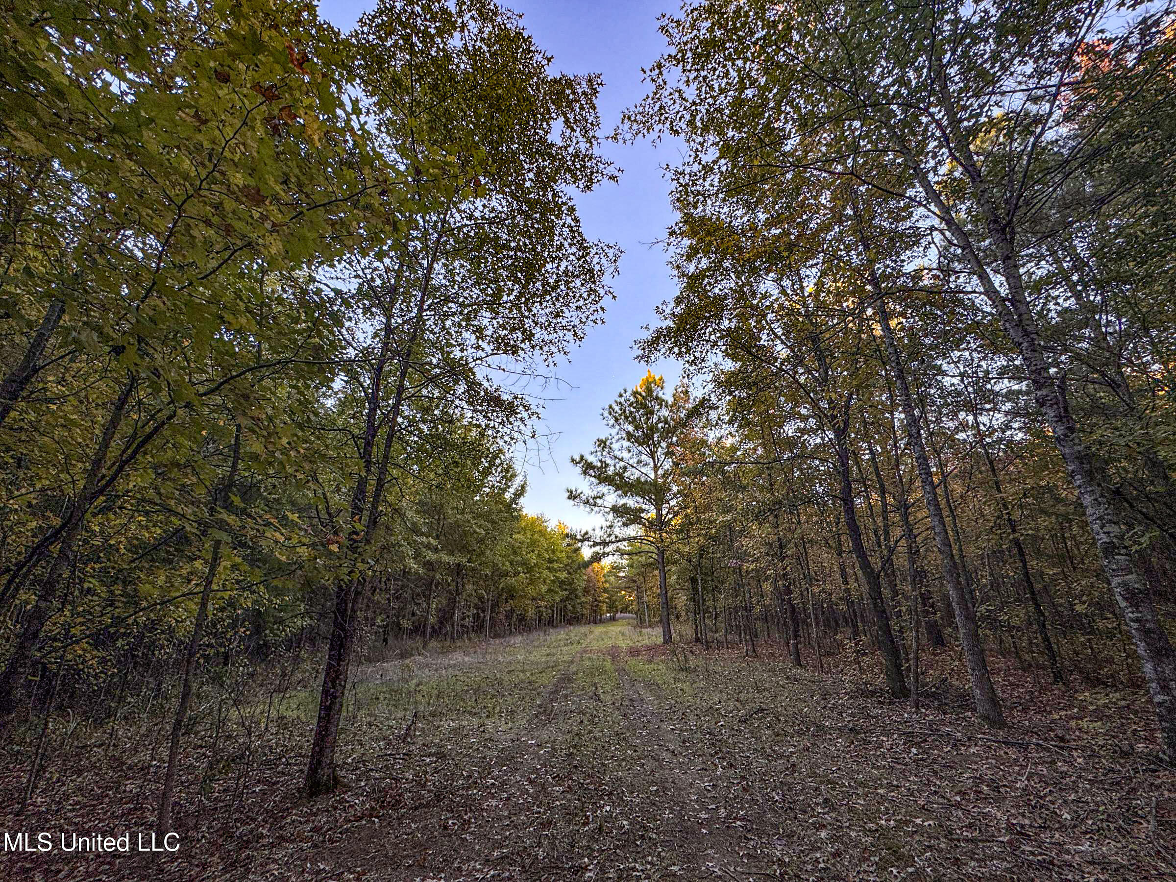 Howard Street Property Photo 69