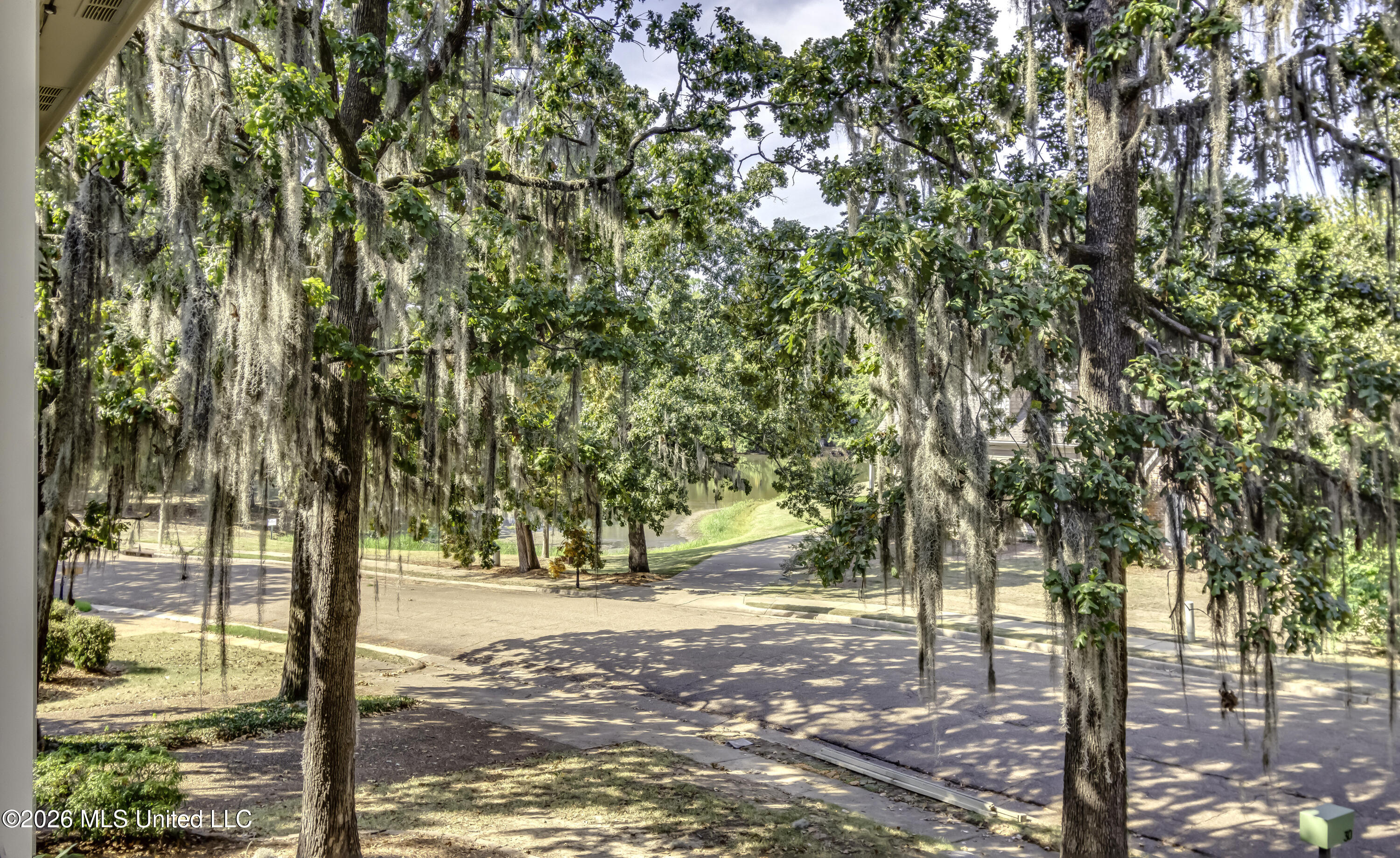 30 Moss Forest Circle Property Photo 3