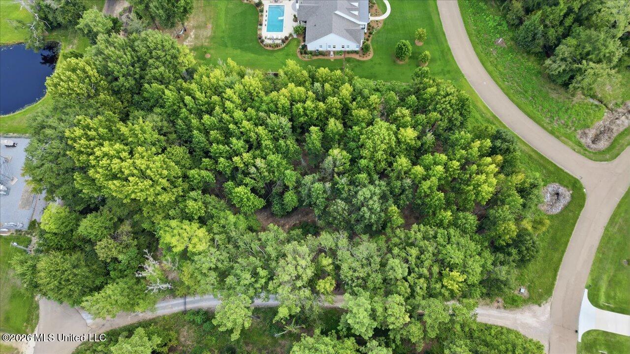 Grn Trce Lot #18 Cove Property Photo 8