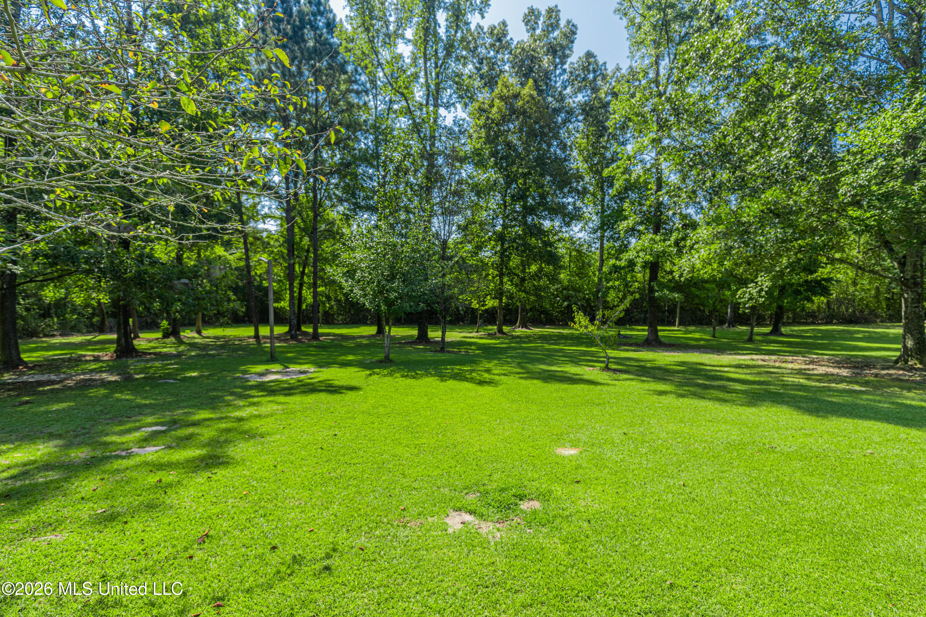 594 Basswood Cove Property Photo 13