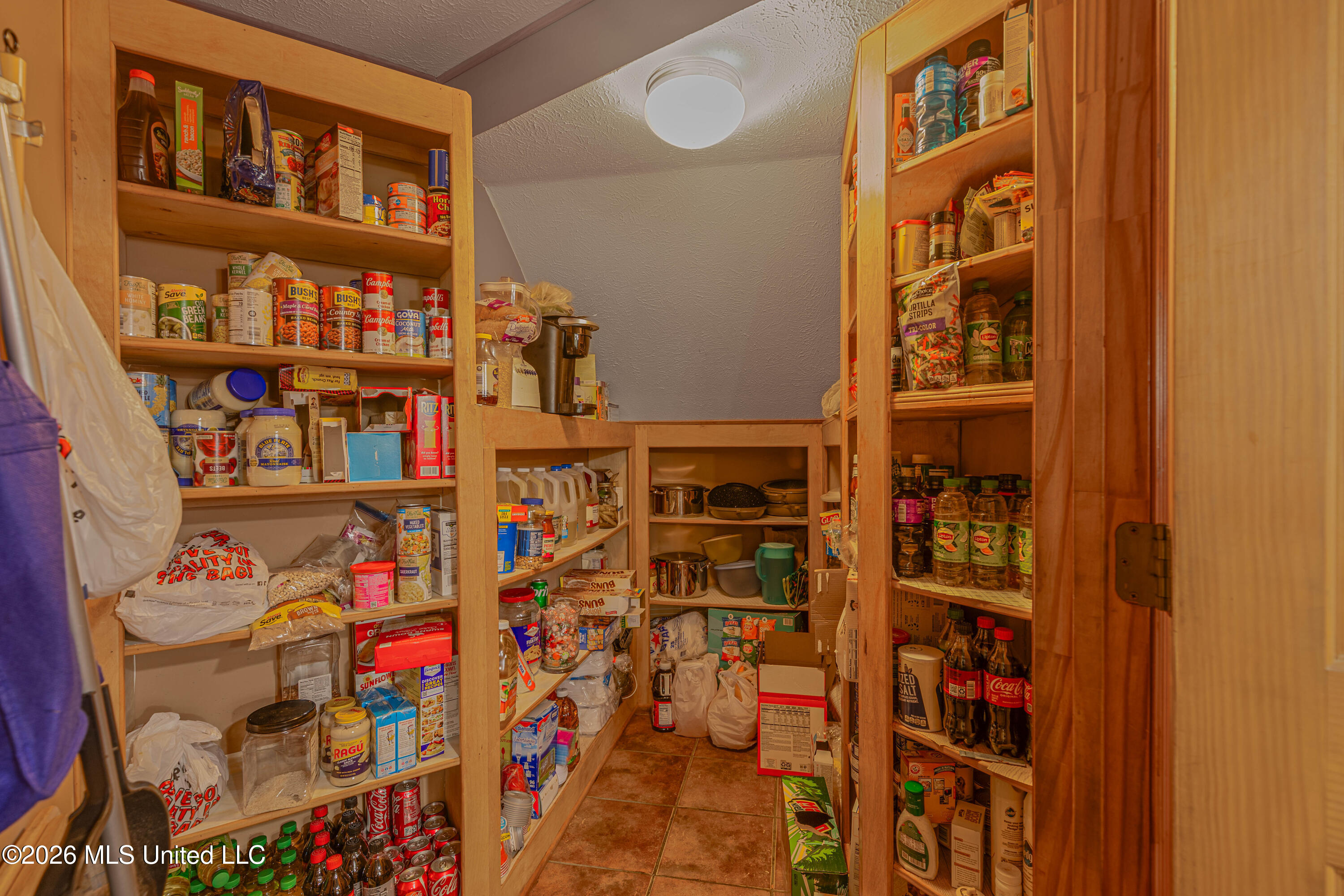 594 Basswood Cove Property Photo 25