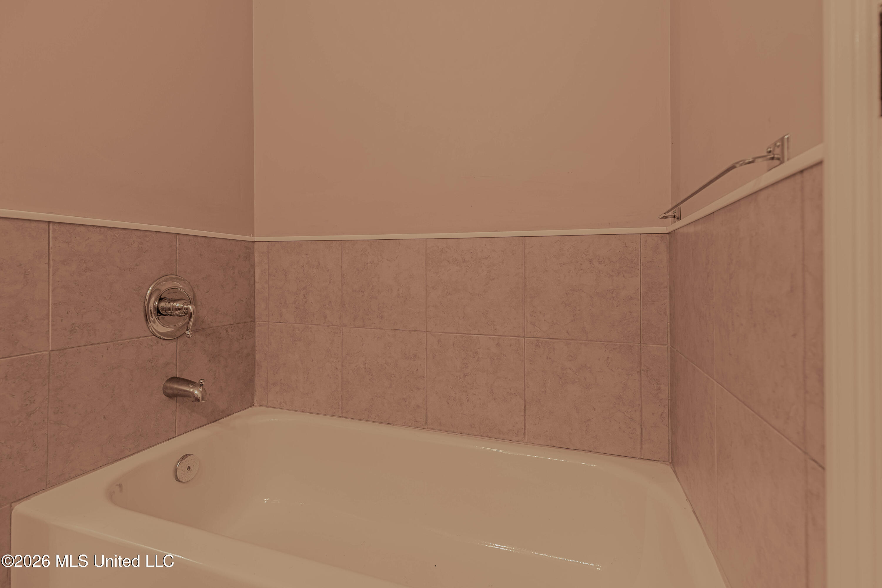 594 Basswood Cove Property Photo 55