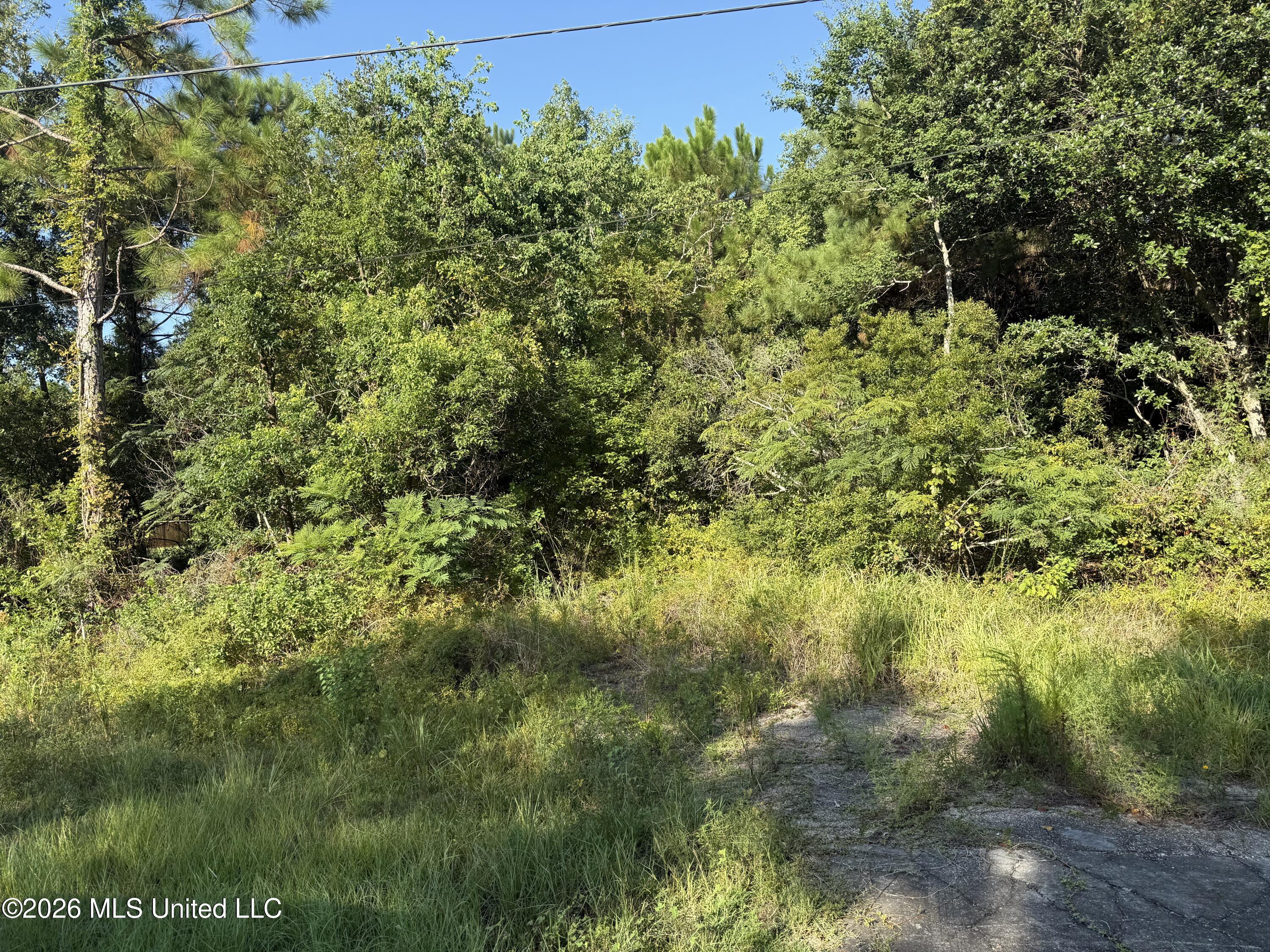 5187 Forest Avenue Property Photo 1