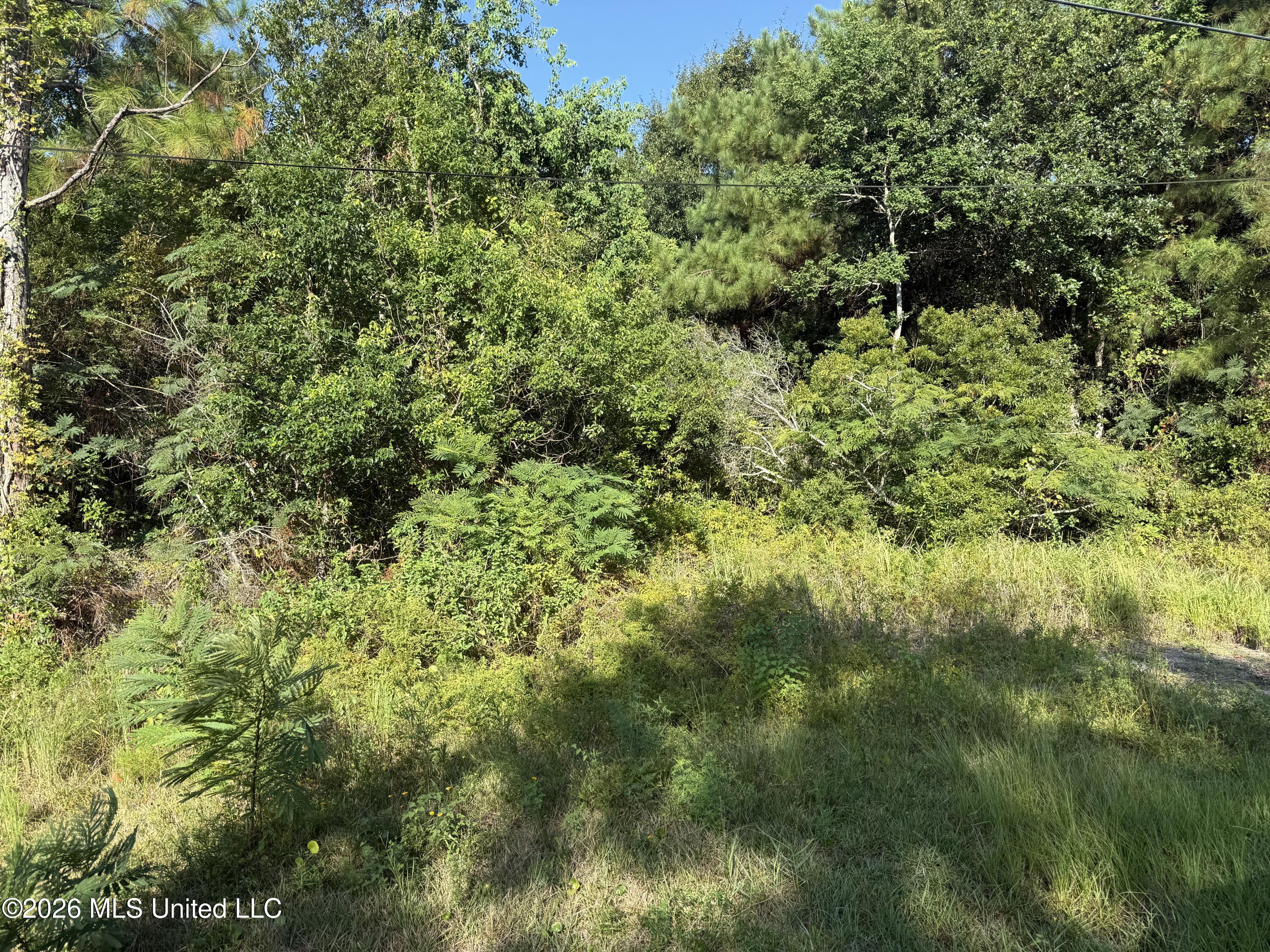 5187 Forest Avenue Property Photo 2