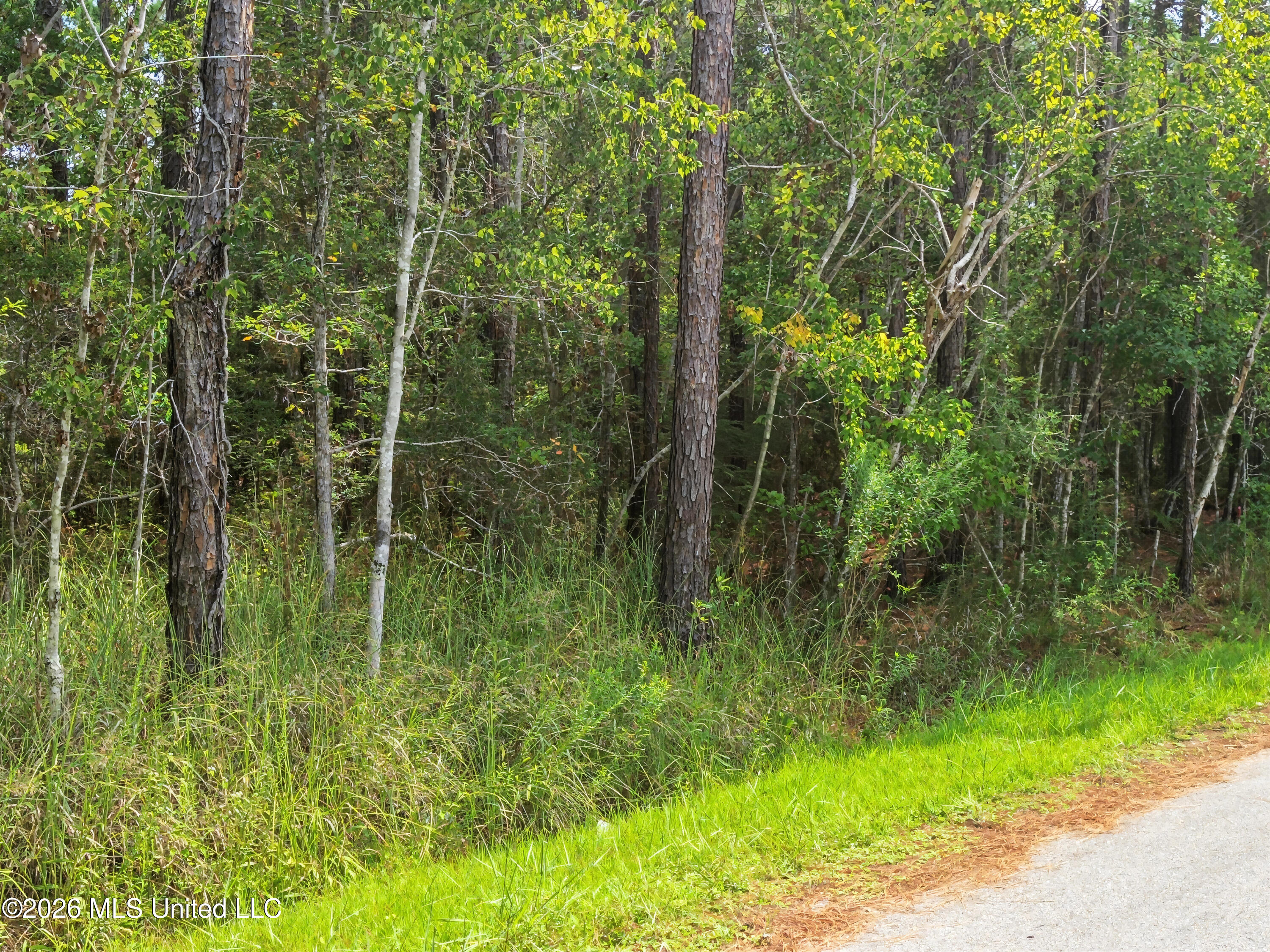 Lot 17 18th Street Property Photo 9