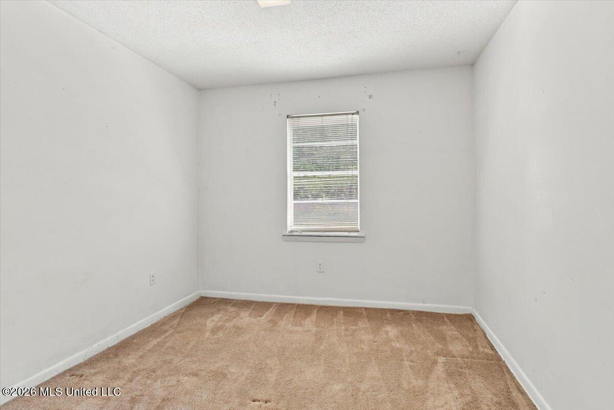 4546 Dogwood Meadows Cove Property Photo 22