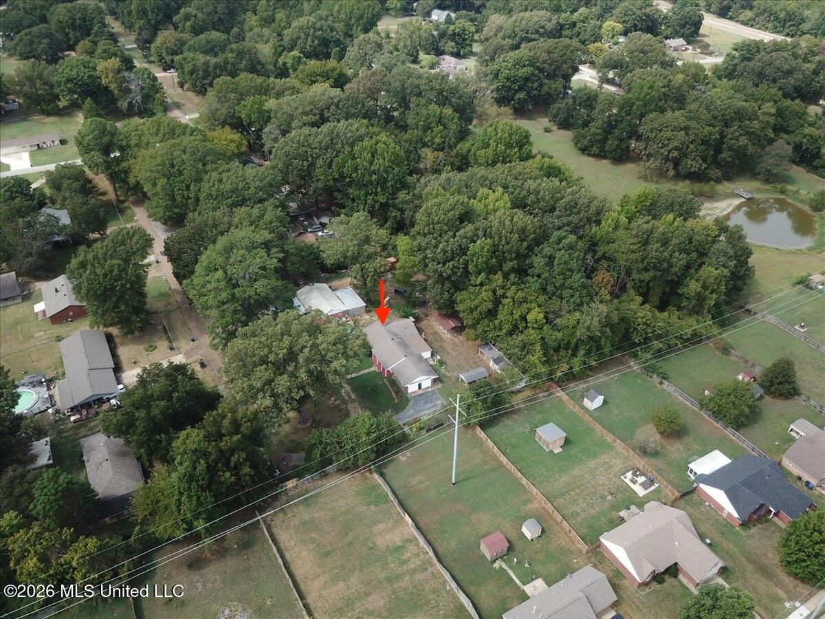 4546 Dogwood Meadows Cove Property Photo 44